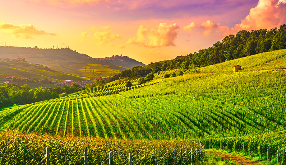 Barolo