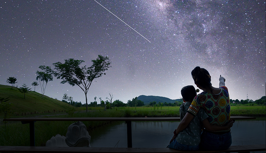 stelle cadenti