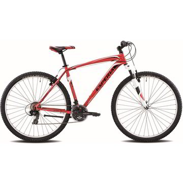 MTB 29\
