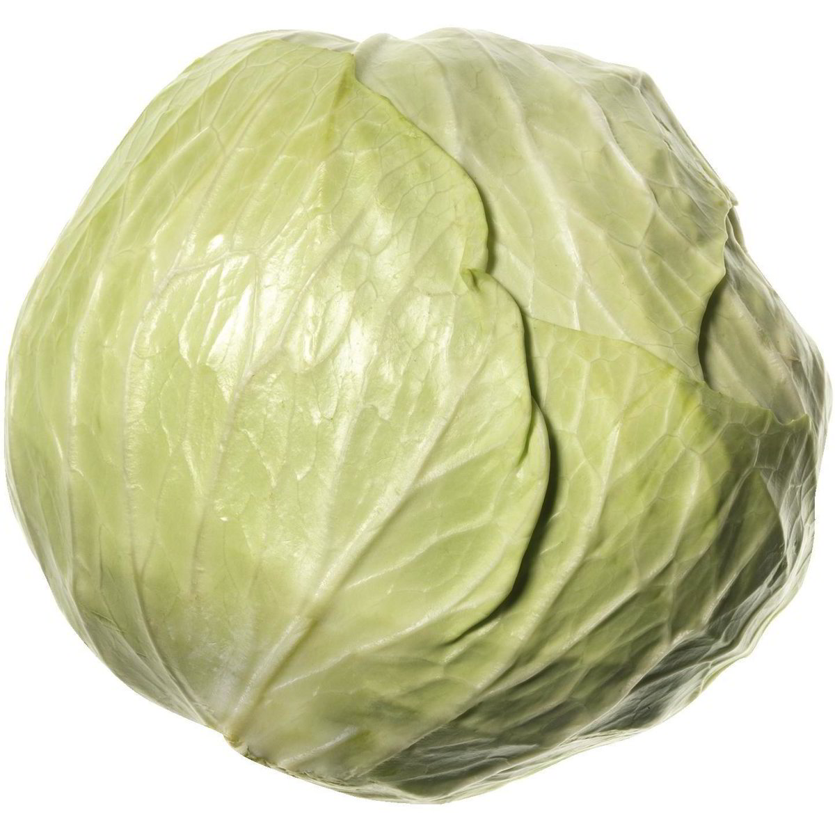 Cappuccio Di Protezione Per Capicorda 15mm Sezione Tubo 7,5mm - Foto 12