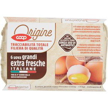 Uova L Extra Fresche Allevamento A Terra X6 Coop Origine Coop