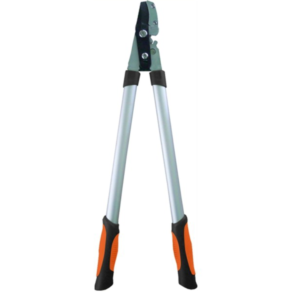 TAGLIARAMI GL72124 ALLUM. - Coop Shop