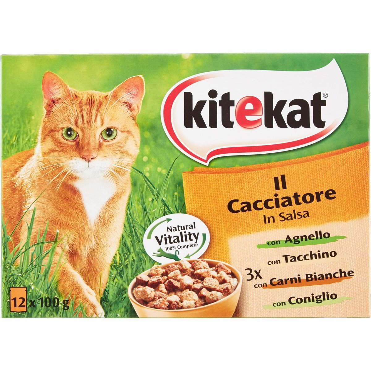Gatti neri gatti bianchi di A. Cerasoli