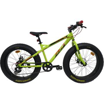 BICI MTB 24\