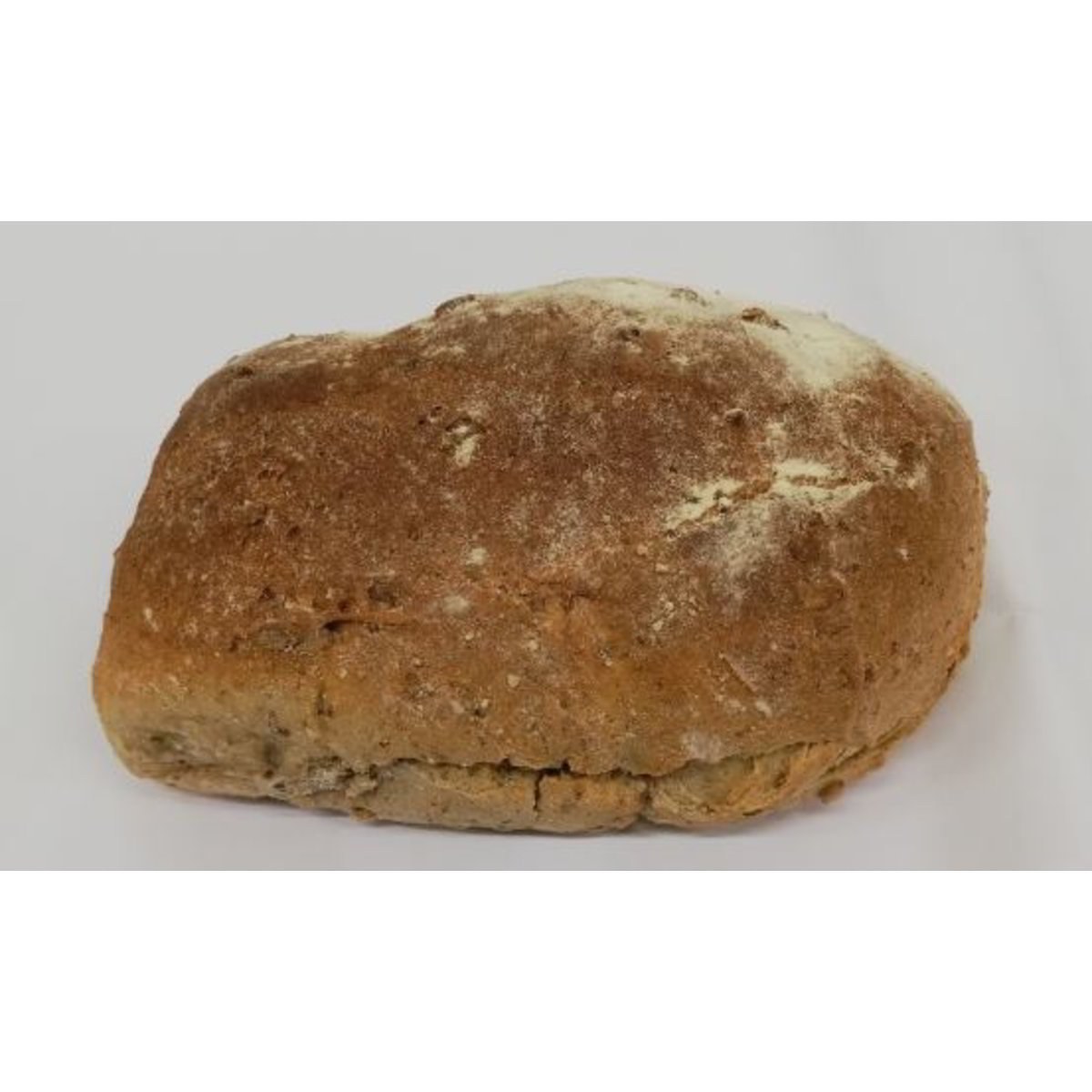 Pane rustico - Coop Shop