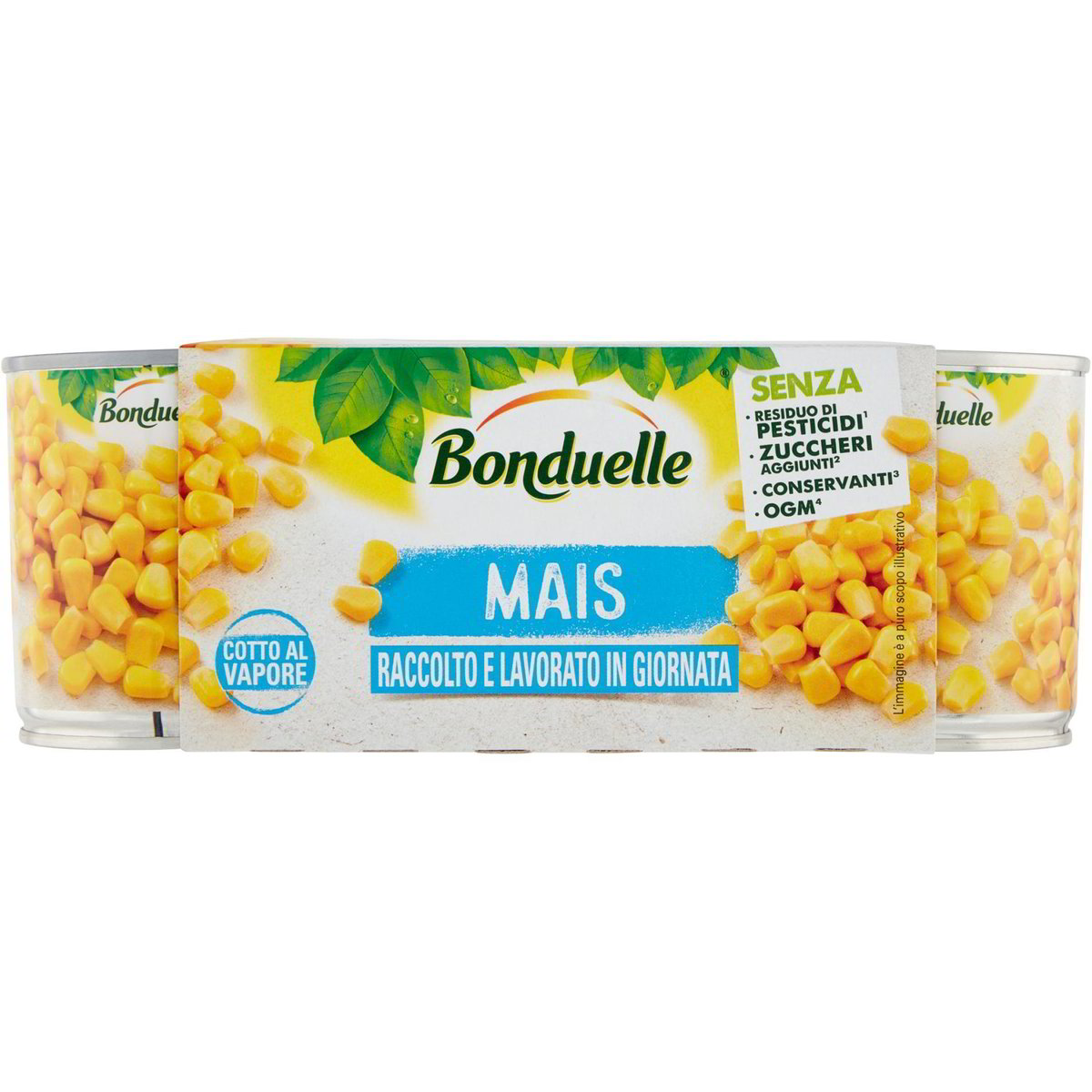 Semi Di Mais Dolce JUMBO F1 (tipo Bonduelle) - 5 Grammi. Ibrido Super Dolce, Non OGM, Alta Germinabilità. Spighe Giallo Brillante Da 20-22 Cm.