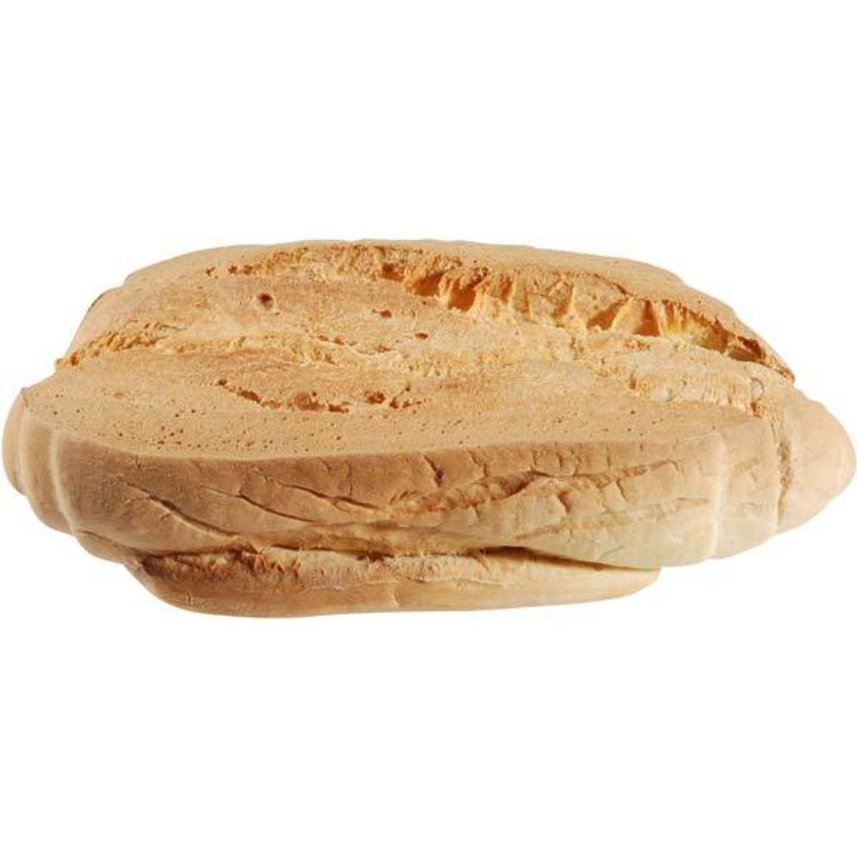 Pane filone sciocco - Coop Shop
