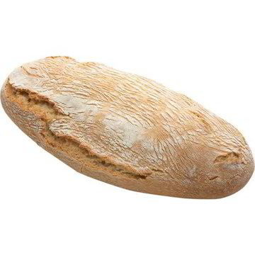 Pane crostaccio a lievitazione naturale - Coop Shop