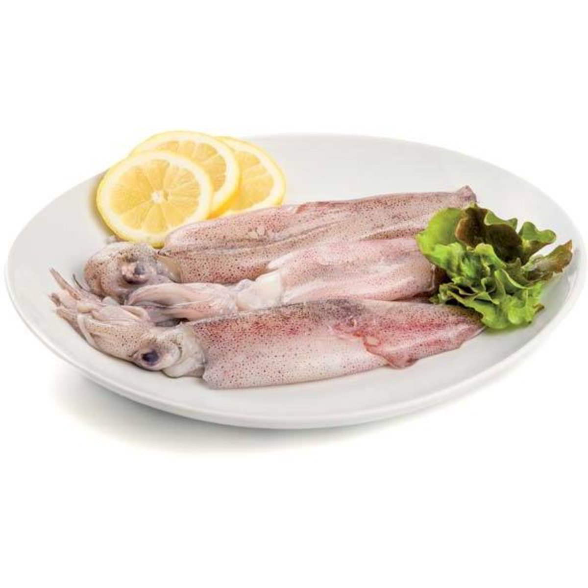 ESCA GRANDE GIOCO A Forma Di Uccellino Da Trolling Di Qualit&agrave; Superiore