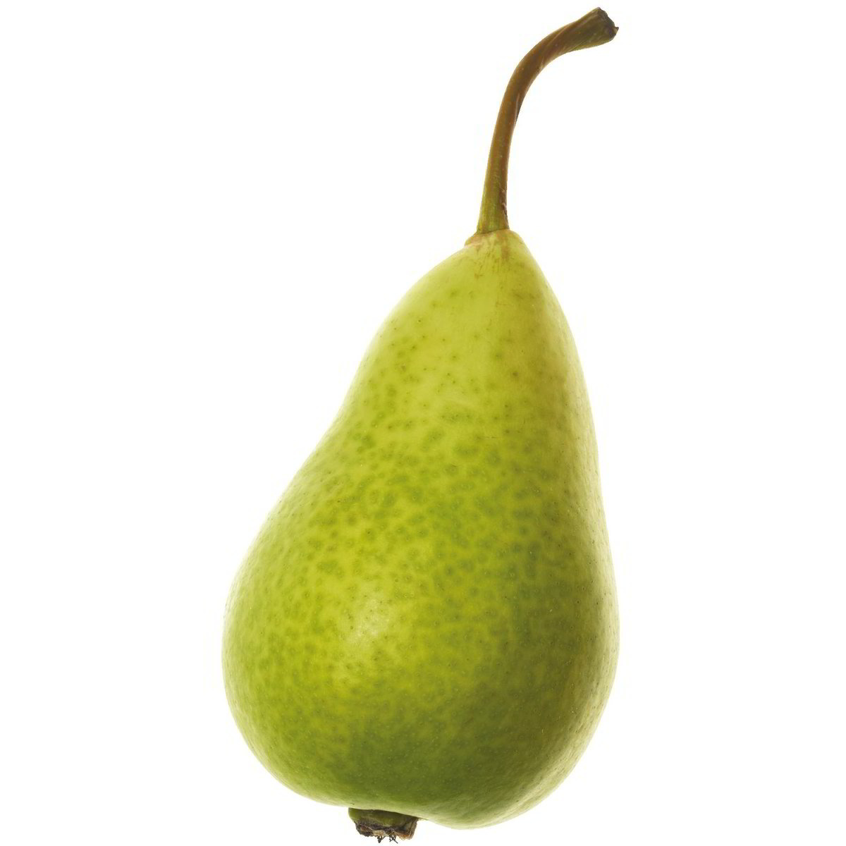 Pere coscia Coop Shop