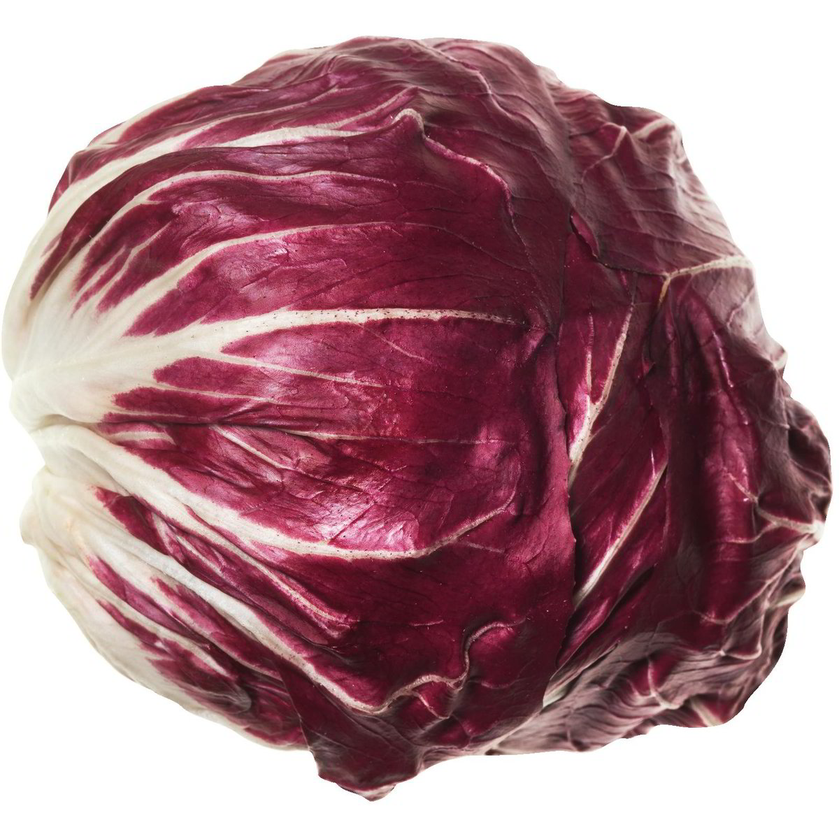 ricette con radicchio rosso tondo al forno