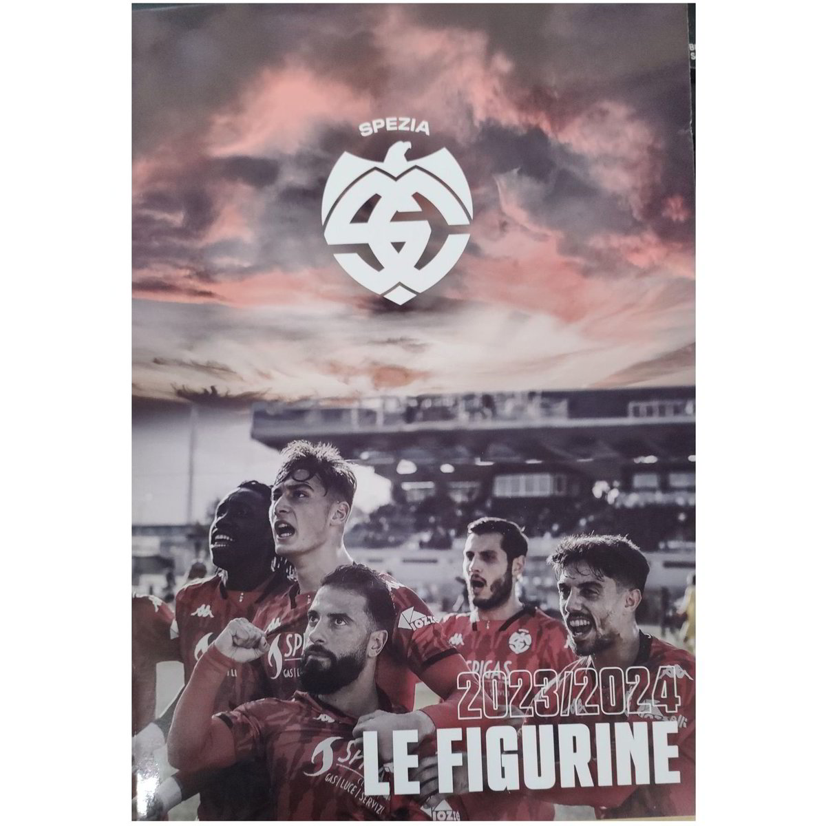 Album Portacarte Da Calcio Con 65 Pagine - Capienza 520 Carte, Copertina In PU, Custodia Da Collezione Per Carte Sportive
